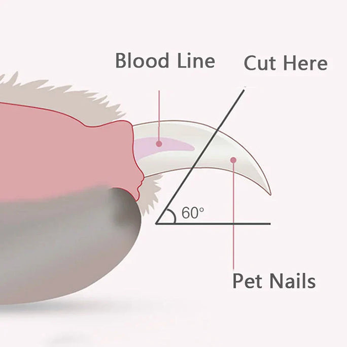 LED-nagelknipper voor huisdieren
